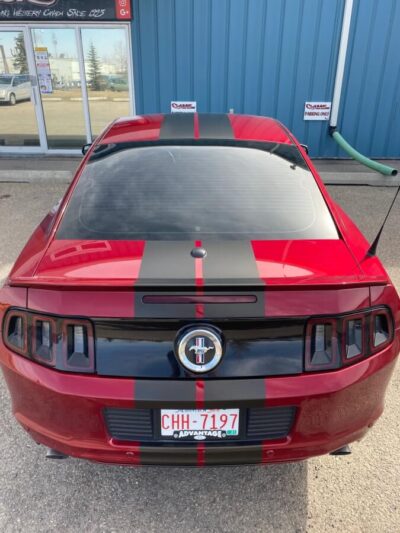 Mustang Black Stripe